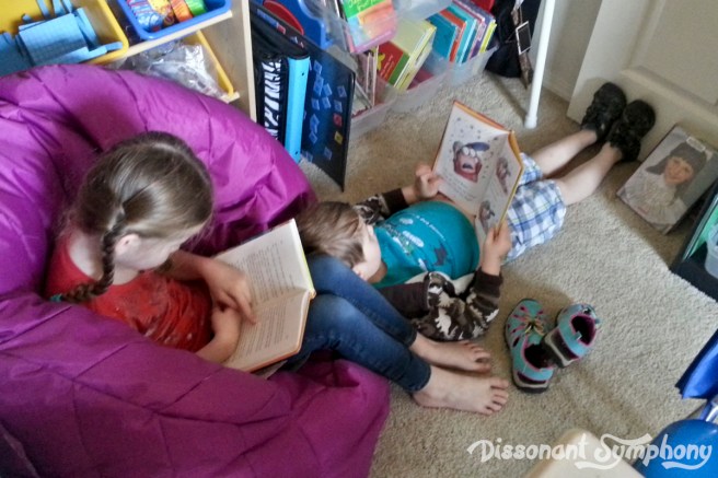 Discover Your Local Library - Dissonant Symphony