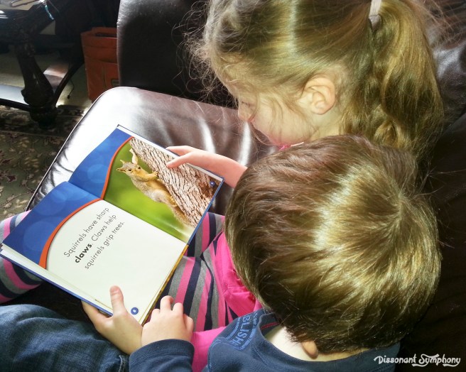 Squirrels Consumers Biomes and Clauses