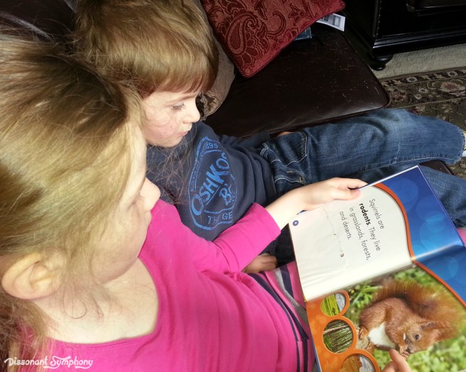 Squirrels Consumers Biomes and Clauses