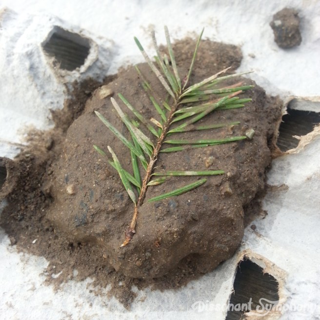 A Little Mud Never Hurt Anyone