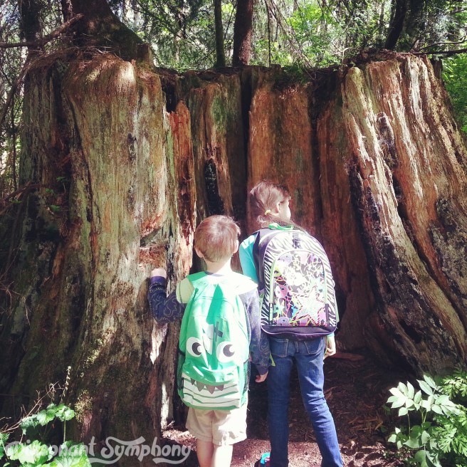 A Little Mud Never Hurt Anyone