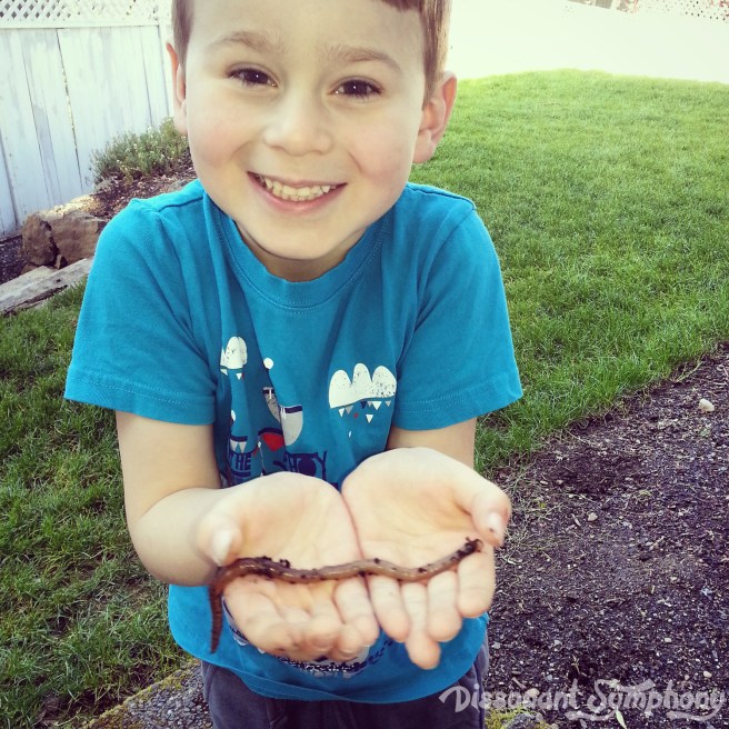 A Little Mud Never Hurt Anyone