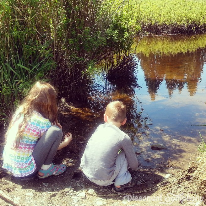 A Little Mud Never Hurt Anyone