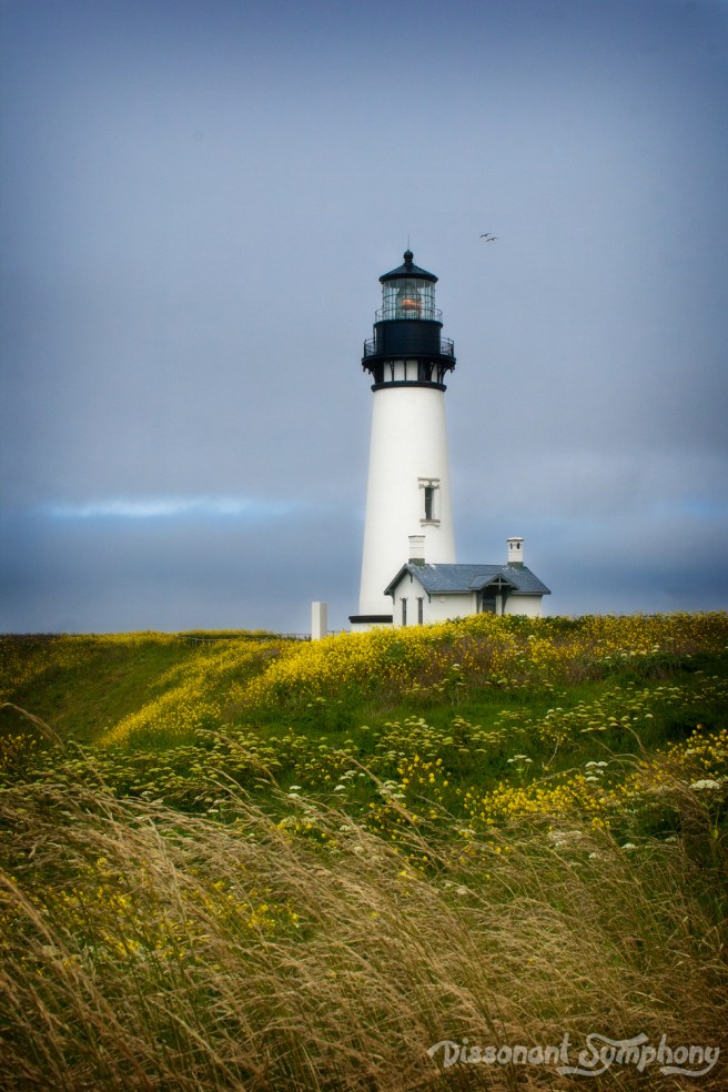 Yaquina Head Lighthouse