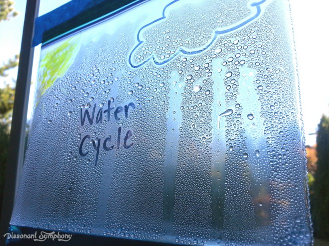 Water Cycle Precipitation -- Dissonant Symphony